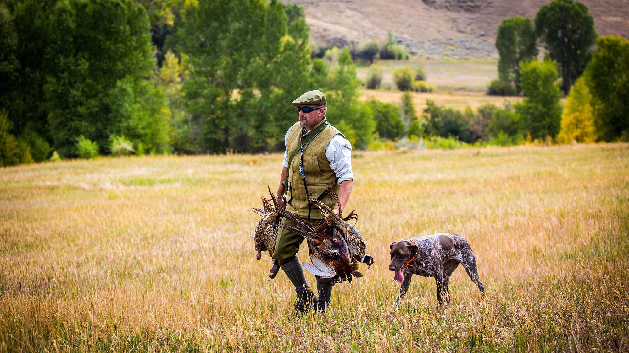 Luxury Driven Pheasant Hunt Vacations